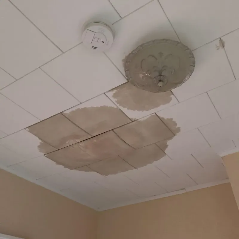 Ceiling Water Damage Repair in South Park Township, PA
