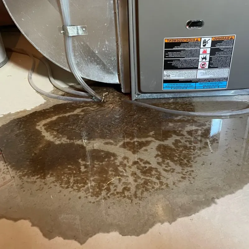 Pipe Burst and Leak Restoration in South Park Township, PA