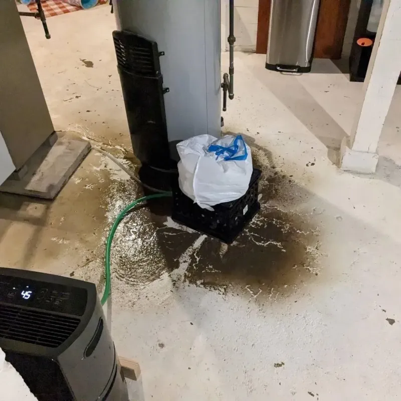 Sewage Backup Cleanup Service in South Park Township, PA